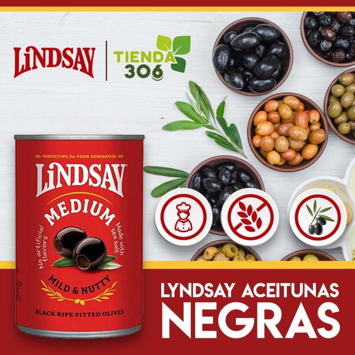 Lyndsay Aceitunas Negras sin Hueso 170 gr D1179 Lyndsay