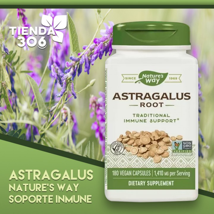Nature's Way Astragalus Soporte Inmune 1.410 mg por servicio 180 Cápsulas Veganas V3211 Nature's Way