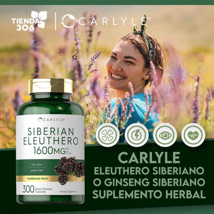Carlyle Eleuthero Siberiano o Ginseng Siberiano 1600 mg Suplemento herbal 300 cápsulas en polvo V3393 CARLYLE
