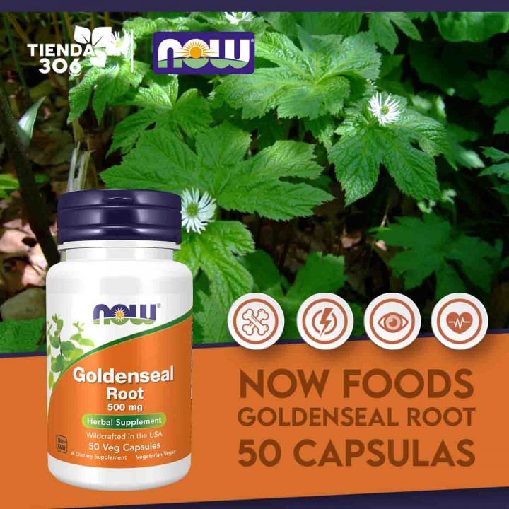Now Foods Goldenseal Root Suplemento Herbal 50 mg Cápsulas Vegetales V3394 Now Nutrition for Optimal Wellness
