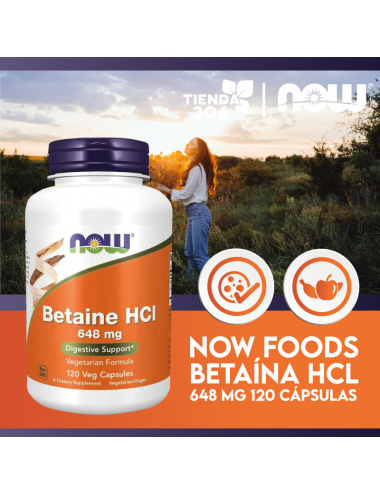 Now Betaína HCl 648 mg 120 Cápsulas V3352 Now Nutrition for Optimal Wellness