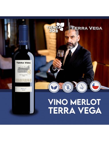 Terra Vega Vino Tinto Merlot 750 Ml L1009 Terra Vega