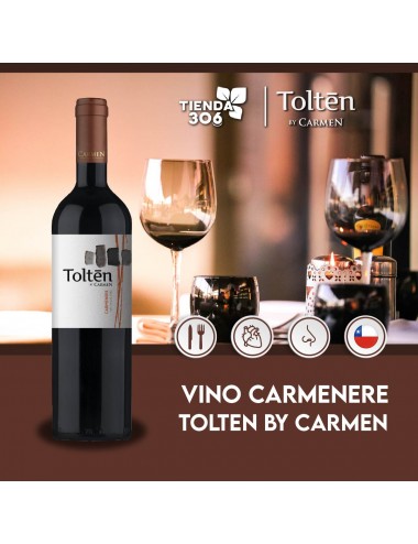 Tolten Vino Tinto Carmenere 750ml D1265 Tolten by carmen