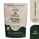 Naturela Proteína Vegetal Mezcla para Batidos 100% Vegana con Spirulina y Chlorella 210g V3424 Naturela