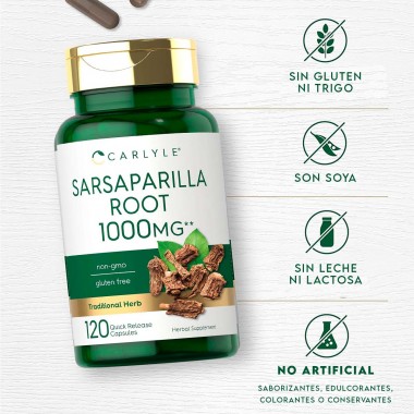 Carlyle de Raíz de Zarzaparrilla - Sarsaparilla Root 1000 mg Suplemento Herbal Sin OMG, Sin Gluten 120 Cápsulas V3486 CARLYLE