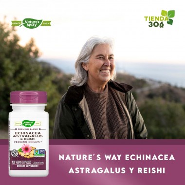 Nature's Way Echinacea Astragalus y Reishi 1,200 mg por servicio 100 Capsulas Veganas V3244 Nature's Way