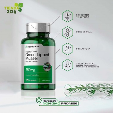Horbaach Mejillón Verde de Nueva Zelanda - Green Lipped Mussel sin GMO Libre de Gluten 750 mg 120 Cápsulas V3518 Horbaach