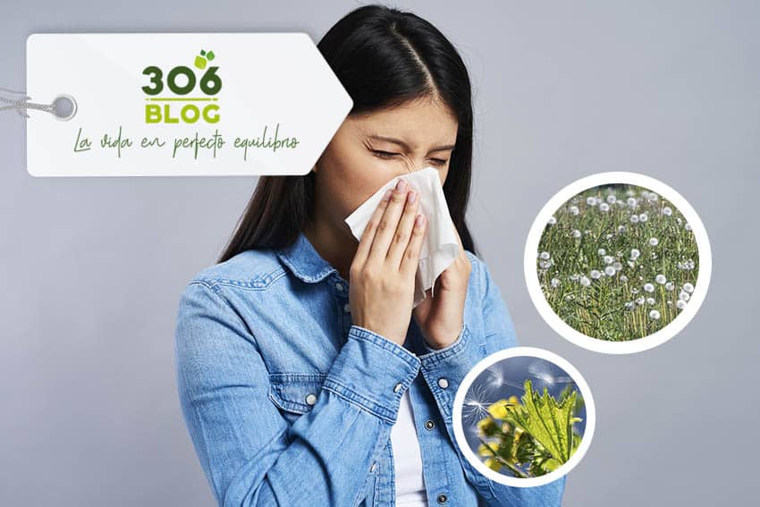 ¿Qué son las alergias y cómo puedo tratarlas?